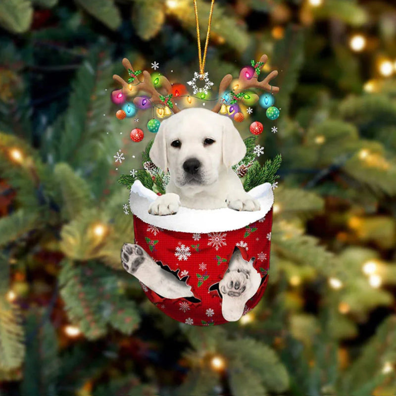 Ornement de Chien Mignon en Forme de Chaussette de Noël