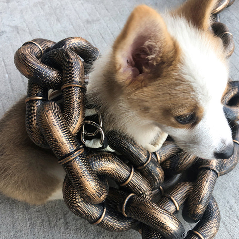 Laisse de chien drôle