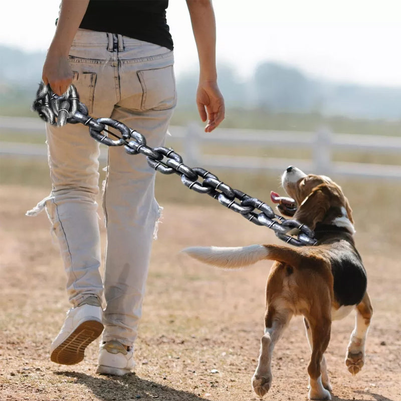 Laisse de chien drôle