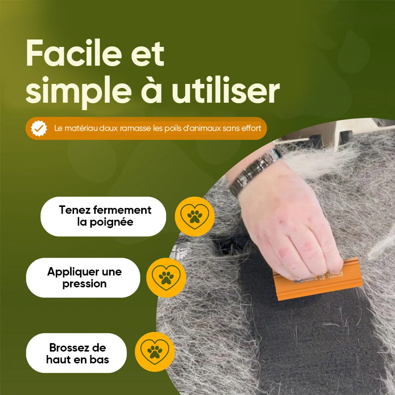 Nouvel épilateur pour animaux de compagnie