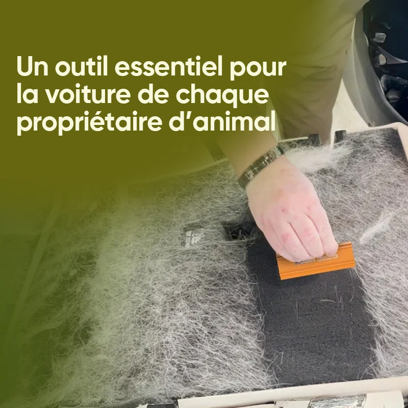 Nouvel épilateur pour animaux de compagnie