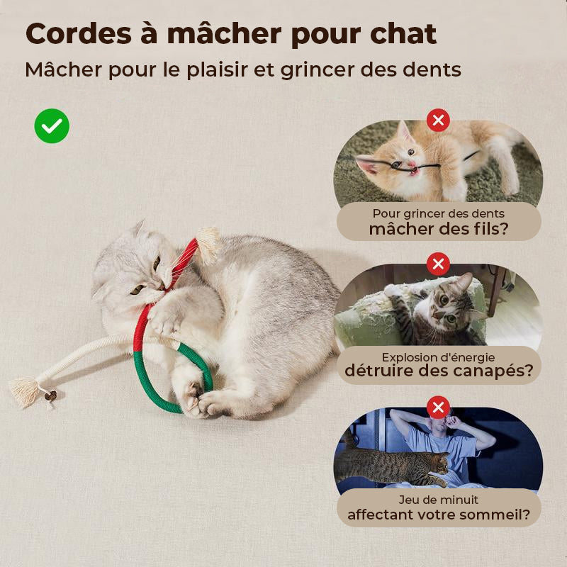 Jouets pour chat à mâcher en corde