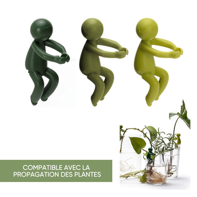 Ami de la propagation des plantes