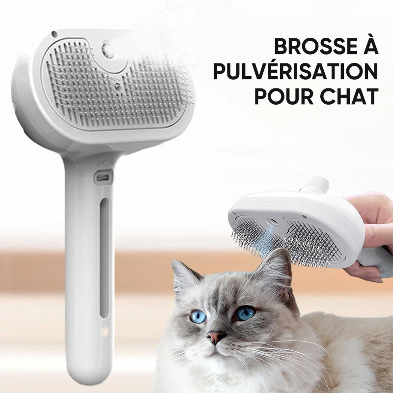 Brosse à chat vaporisateur