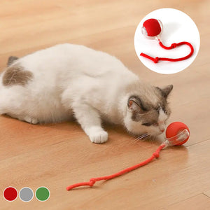 Balle interactive pour chat