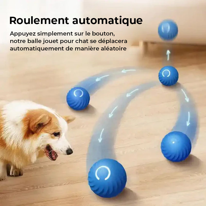 Balle automatique intelligente pour chien qui ne peut pas être mordue