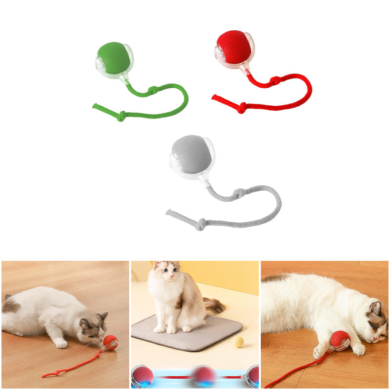 Balle interactive pour chat