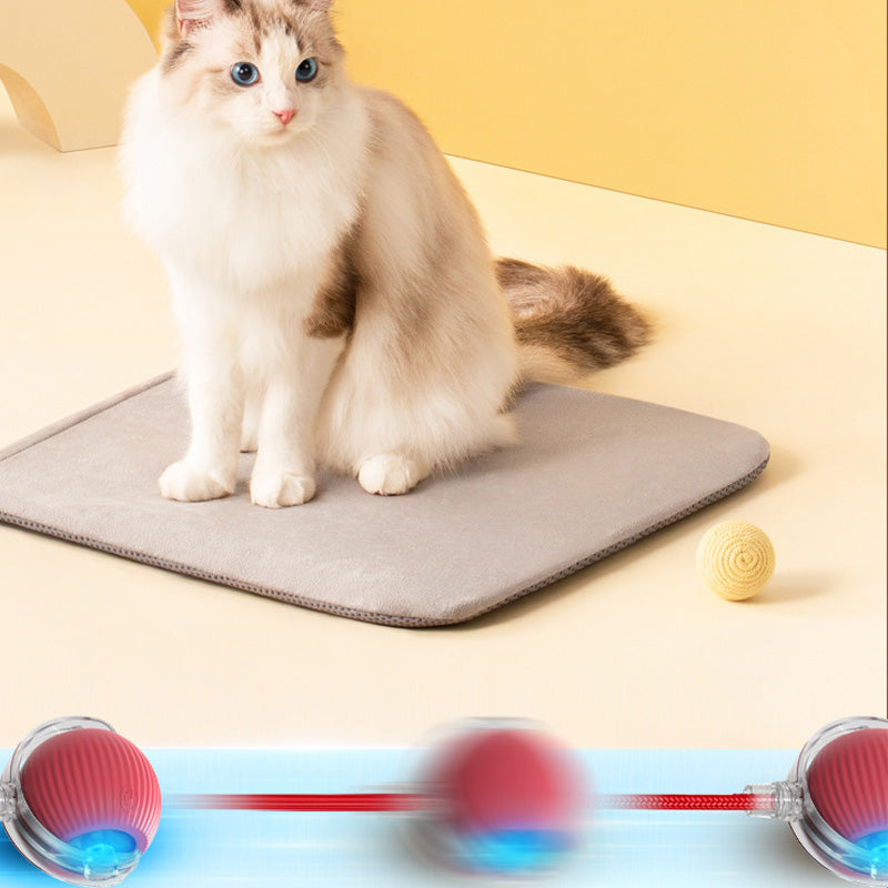 Balle interactive pour chat