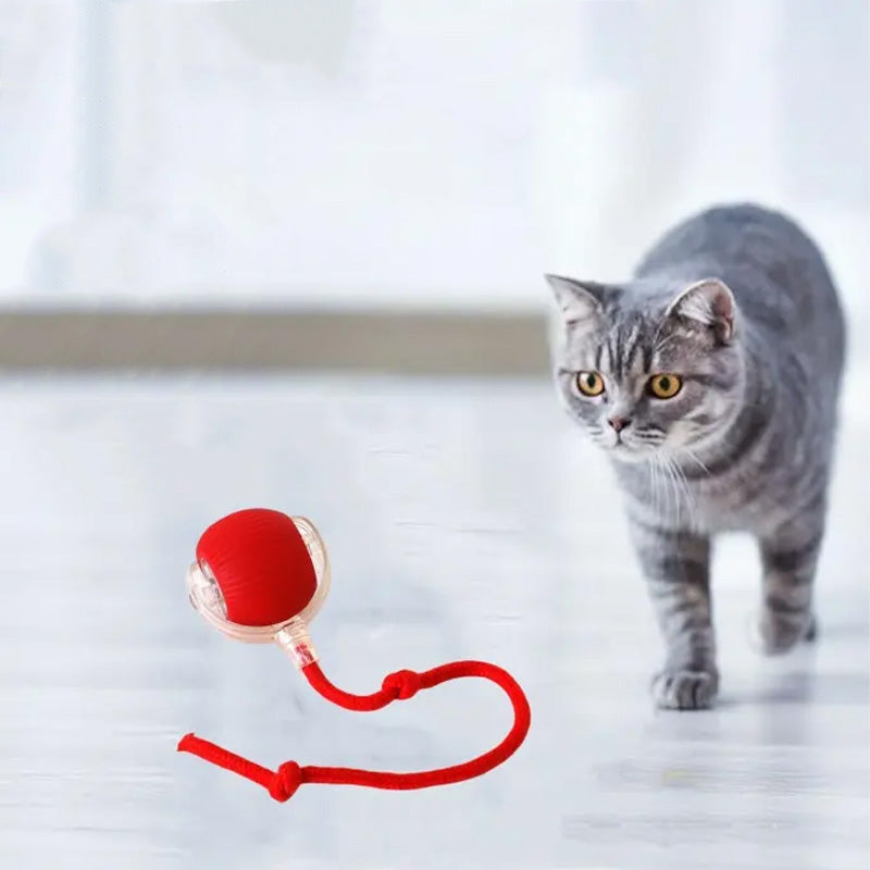 Balle interactive pour chat