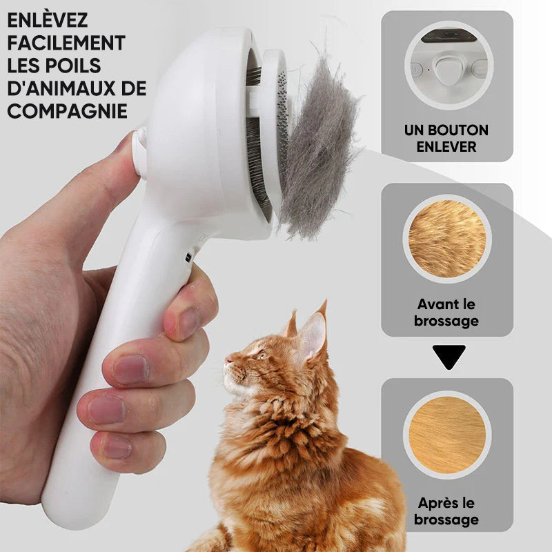 Brosse à chat vaporisateur