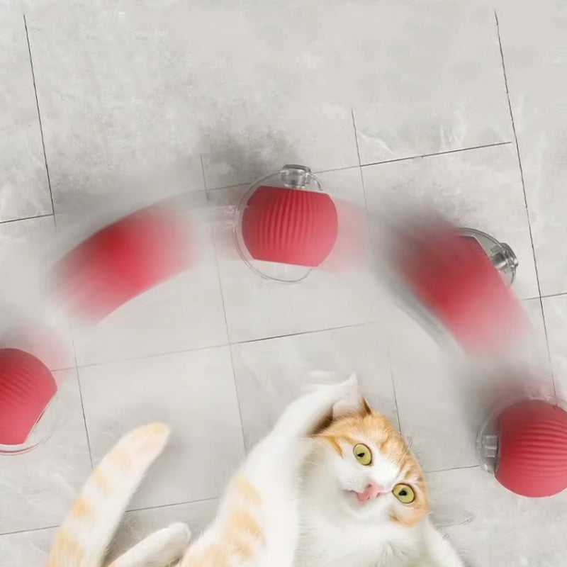 Balle interactive pour chat