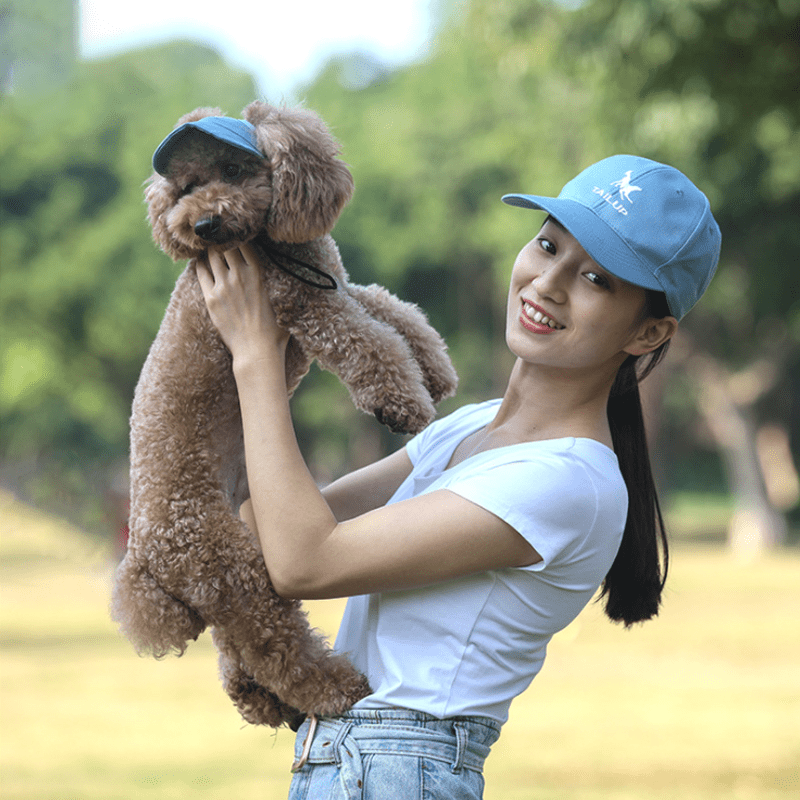 Casquette de baseball pour chien et chat, sortie en plein air