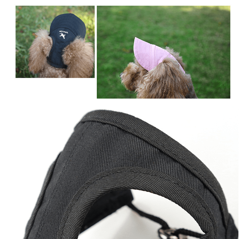 Casquette de baseball pour chien et chat, sortie en plein air