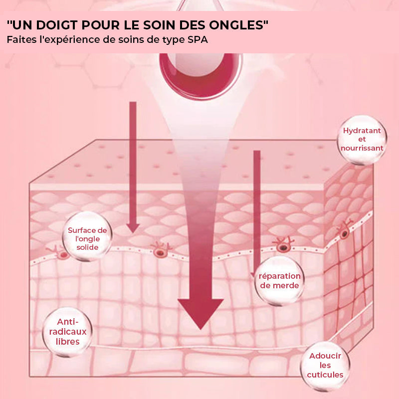 Huile de croissance nutritive pour les ongles