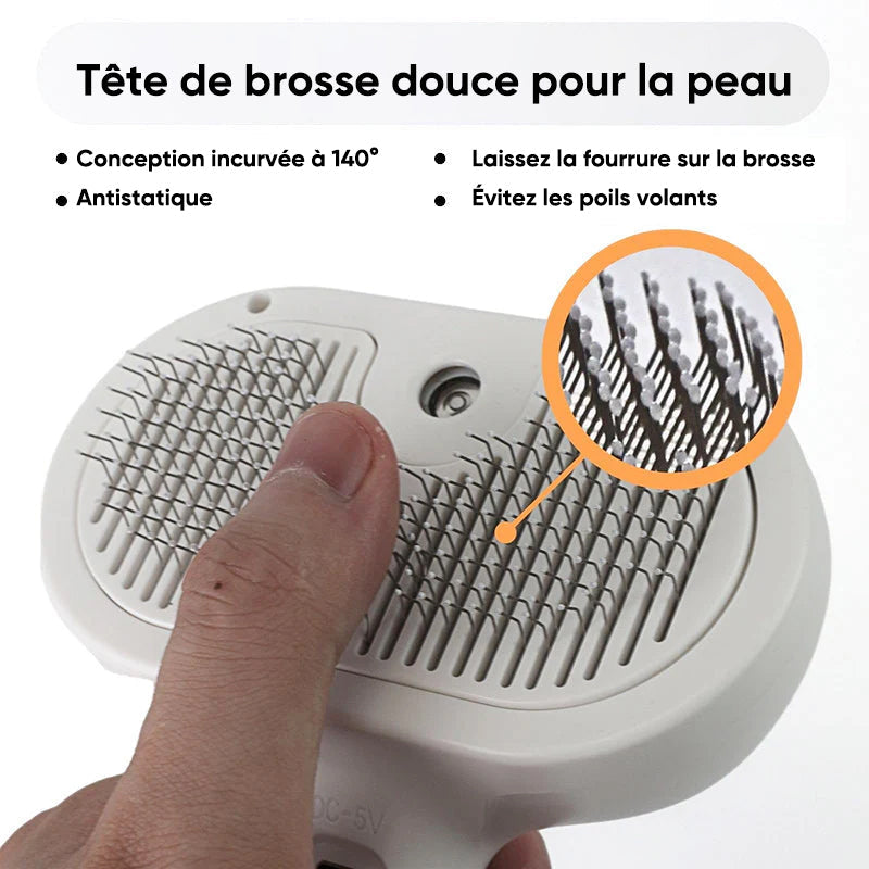 Brosse à chat vaporisateur