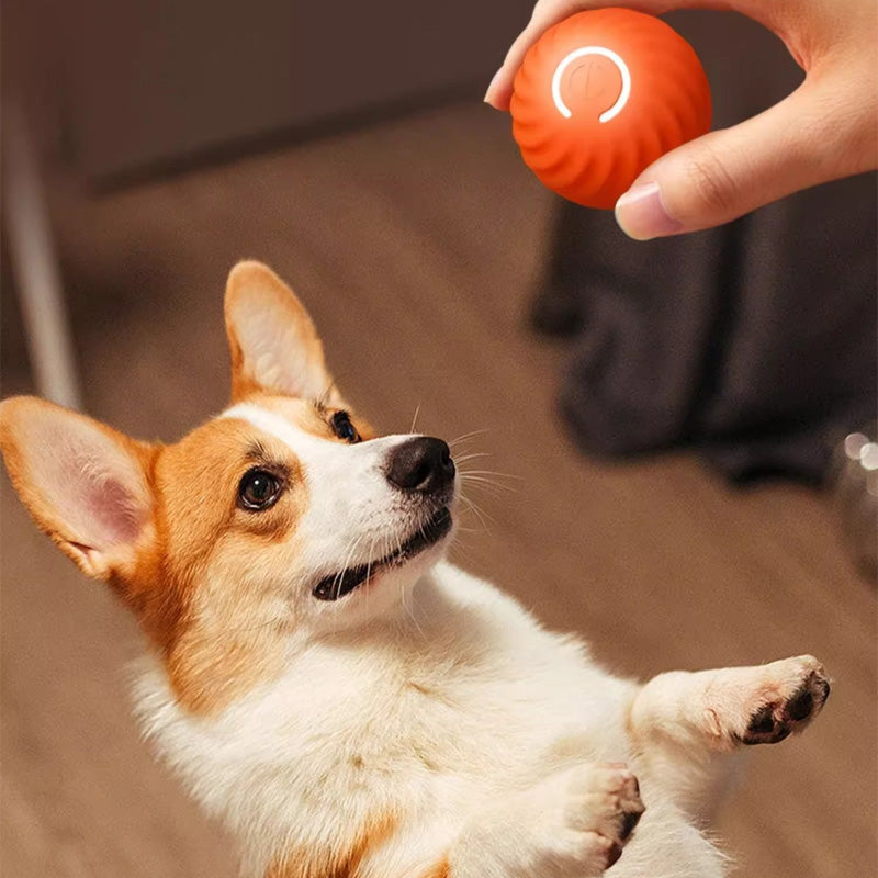 Balle automatique intelligente pour chien qui ne peut pas être mordue