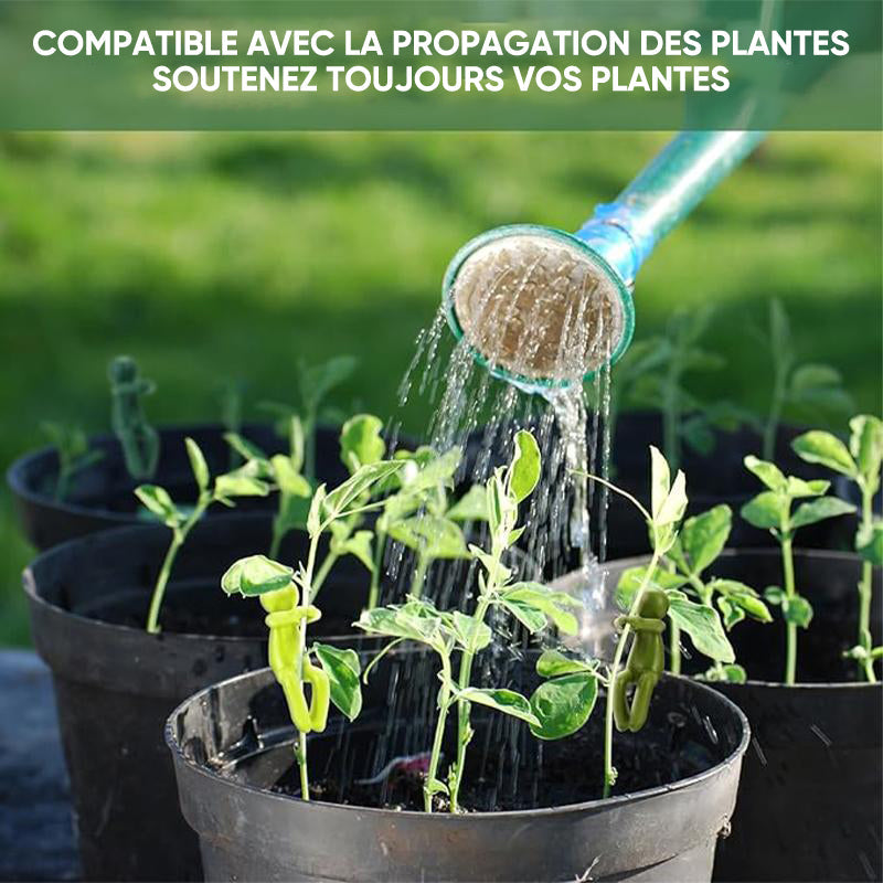 Ami de la propagation des plantes