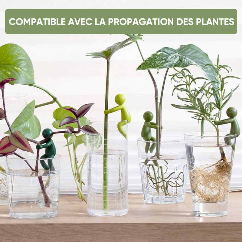 Ami de la propagation des plantes