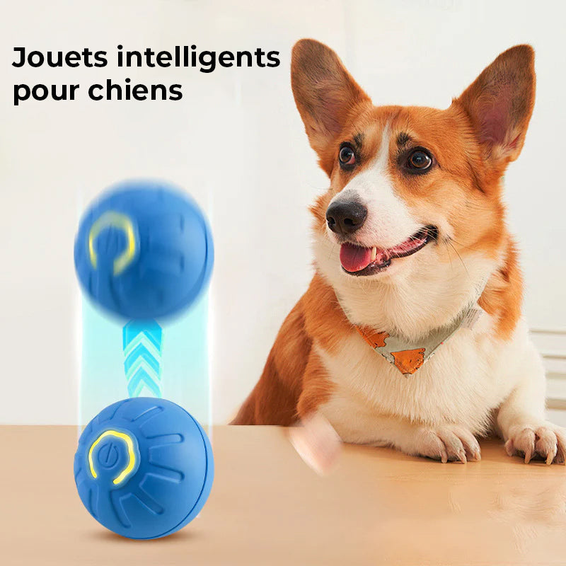 Nouvelle balle rebondissante électrique pour chiens