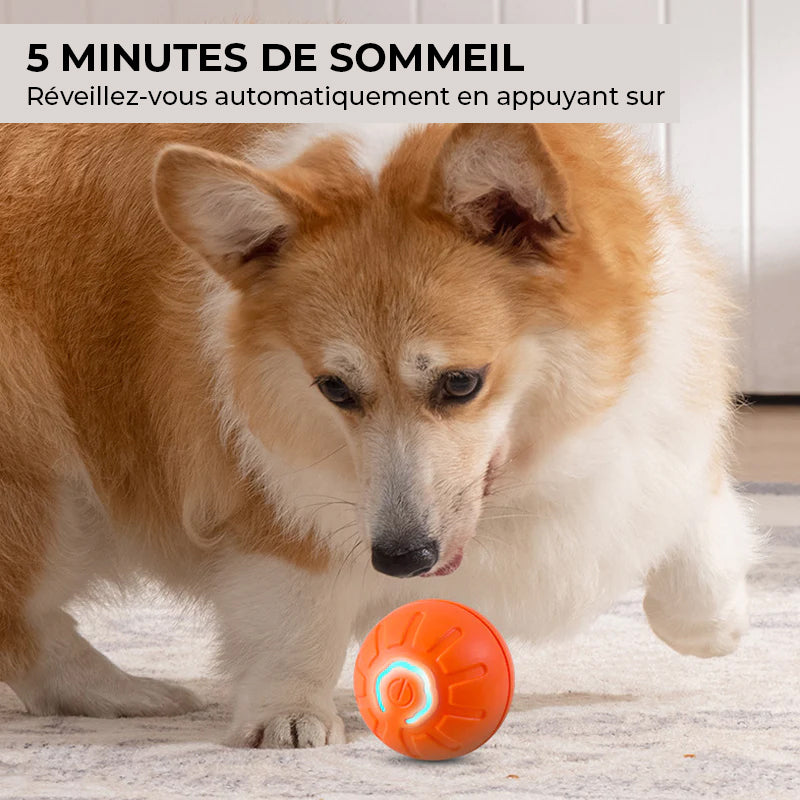 Nouvelle balle rebondissante électrique pour chiens