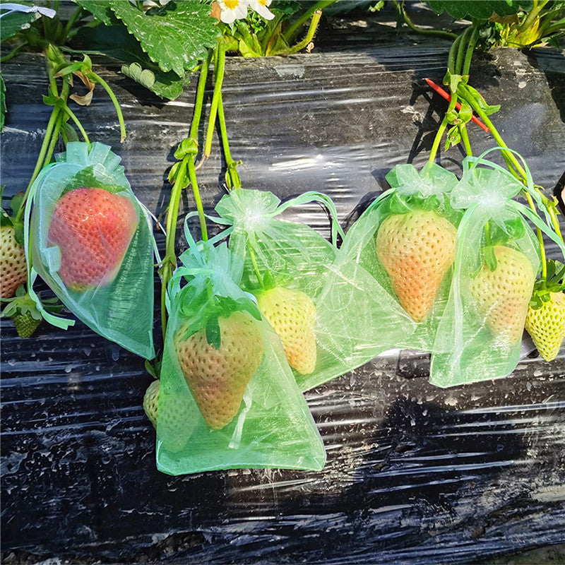 Sac de protection pour fruits (100 pièces)