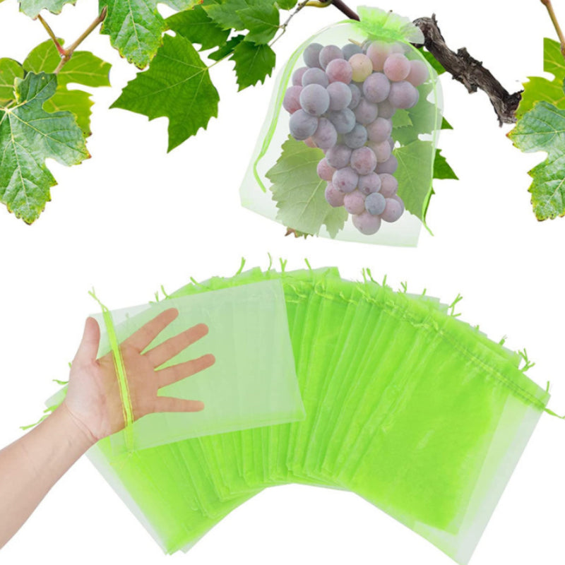 Sac de protection pour fruits (100 pièces)