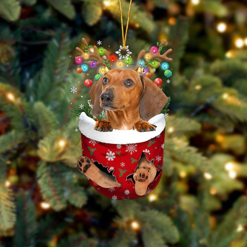 Ornement de Chien Mignon en Forme de Chaussette de Noël