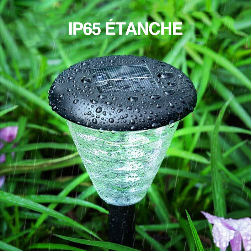 Lampes de pelouse solaires étanches(2 PCS)