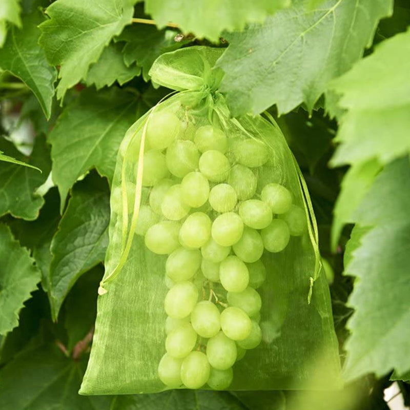 Sac de protection pour fruits (100 pièces)