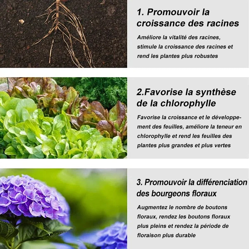 Engrais de jardin universel à libération lente sous forme de comprimés